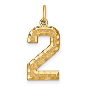 14k Yellow Gold, Varsity Collection, Large D/C Pendant Number 2